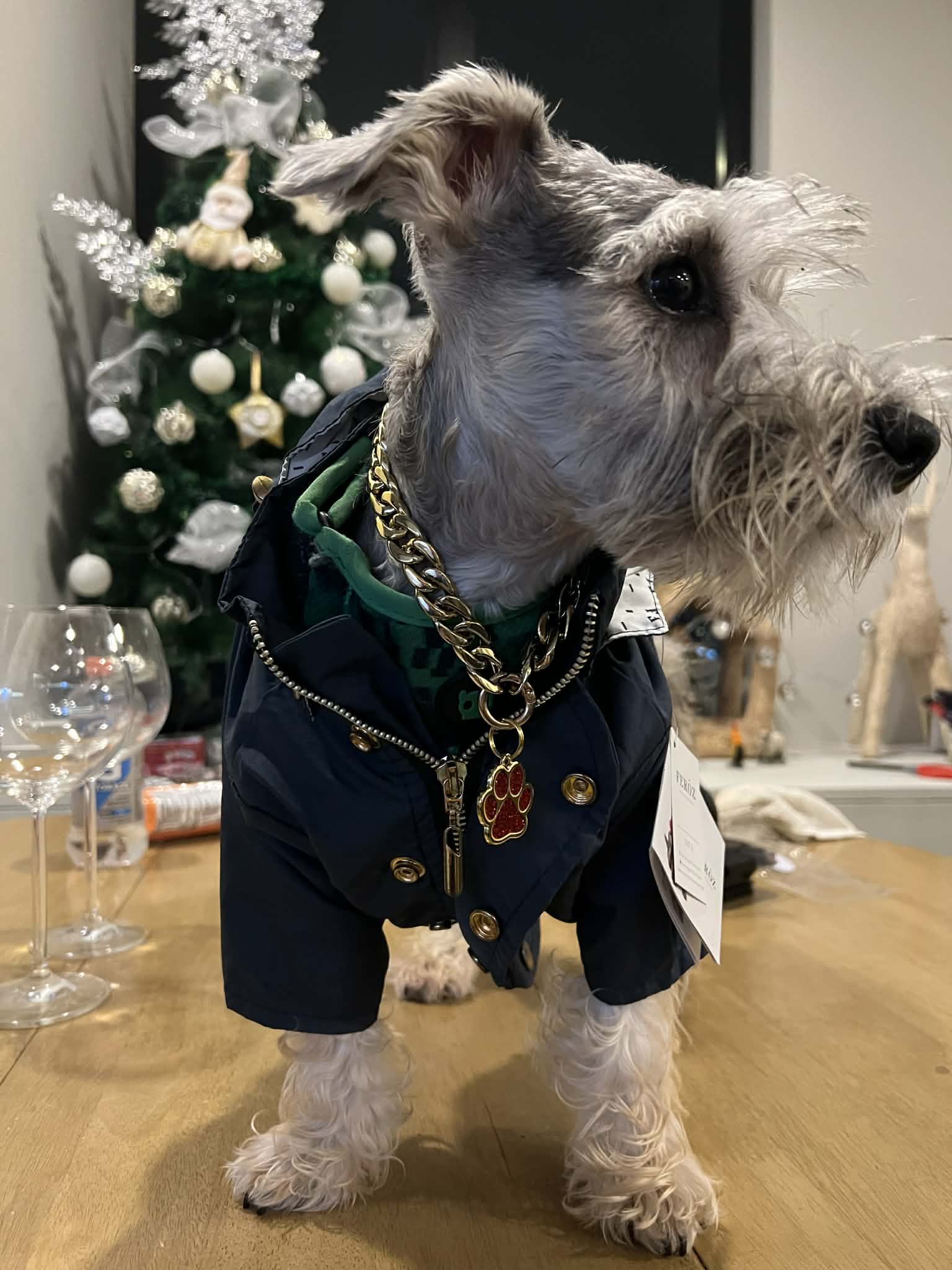 chaquetitas para mascotas